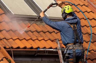Démoussage et hydrofuge de toiture à Anjouin